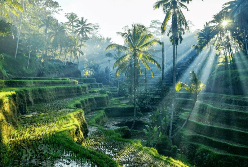 Free Competition - Win a £1,000 Travel Gift Card From Flight Centre and Escapism Magazine